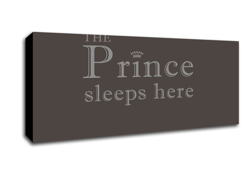 Picture of Boys room Quote The Prince Sleeps Here Chocolate Panoramic Canvas Wall Art