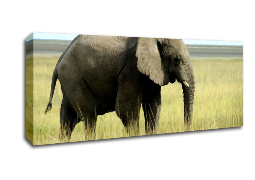 Picture of African Elephant Namibia Panoramic Canvas Wall Art