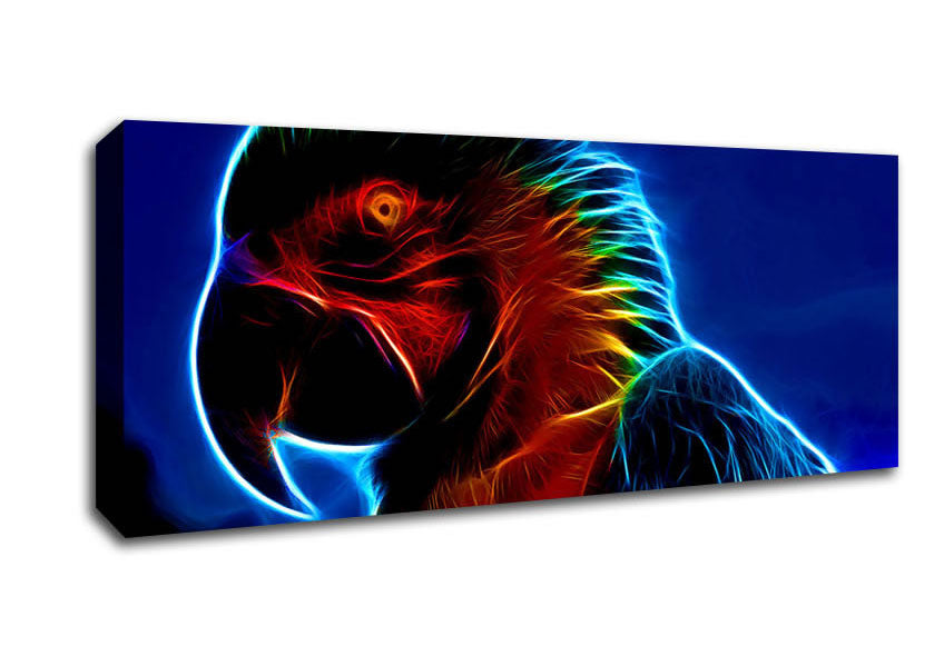 Picture of Rainbow Parrot Panoramic Canvas Wall Art