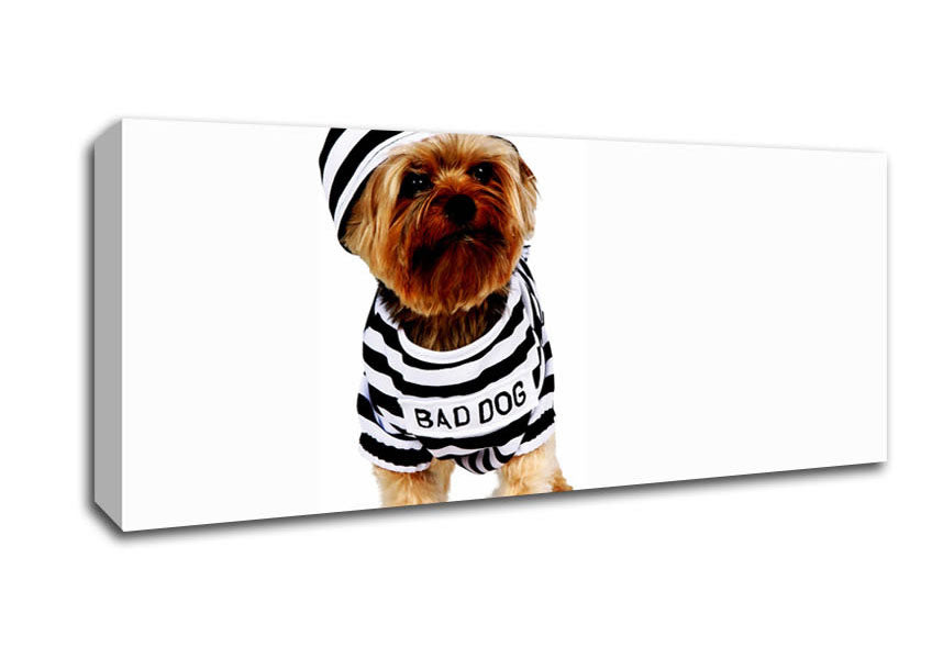 Picture of Bad Dog Panoramic Canvas Wall Art