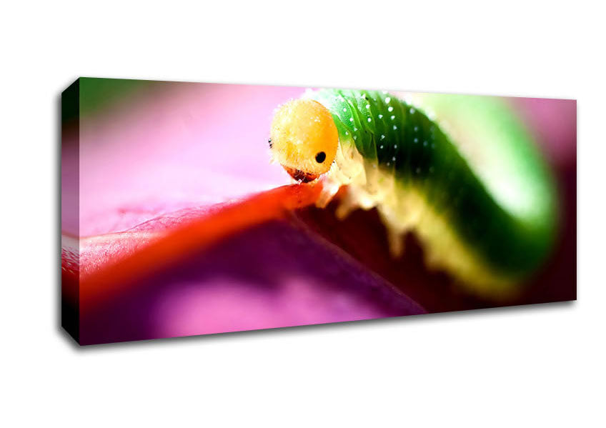 Picture of Beautiful Caterpiller Waiting Panoramic Canvas Wall Art