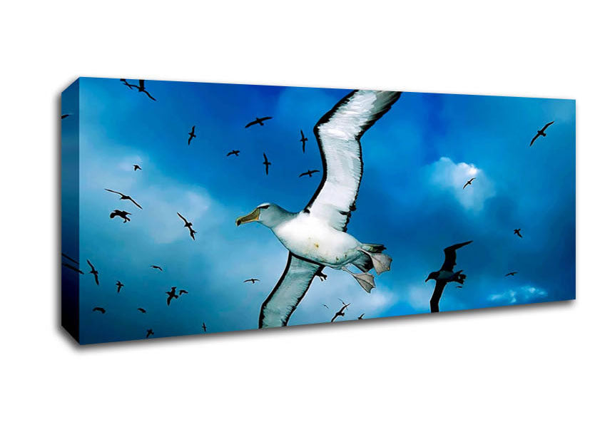 Picture of Birds In Flight Panoramic Canvas Wall Art