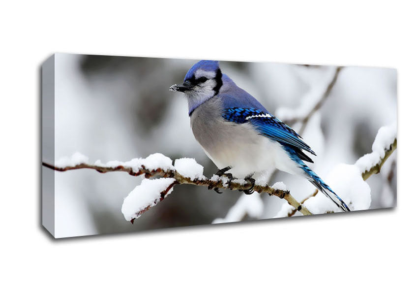 Picture of Blue Tit Winter Panoramic Canvas Wall Art