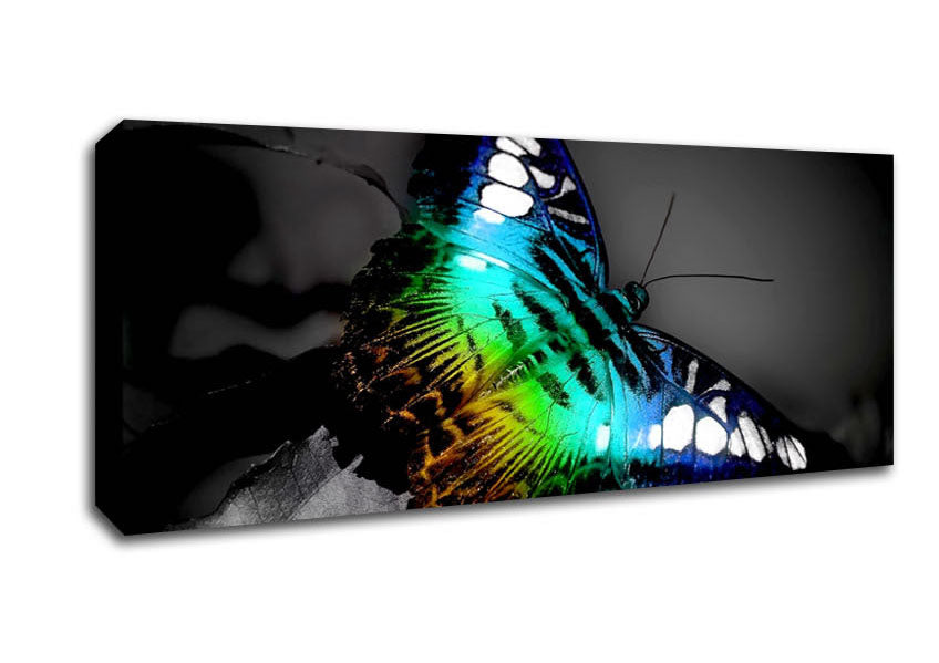 Picture of Bright Butterfly Panoramic Canvas Wall Art