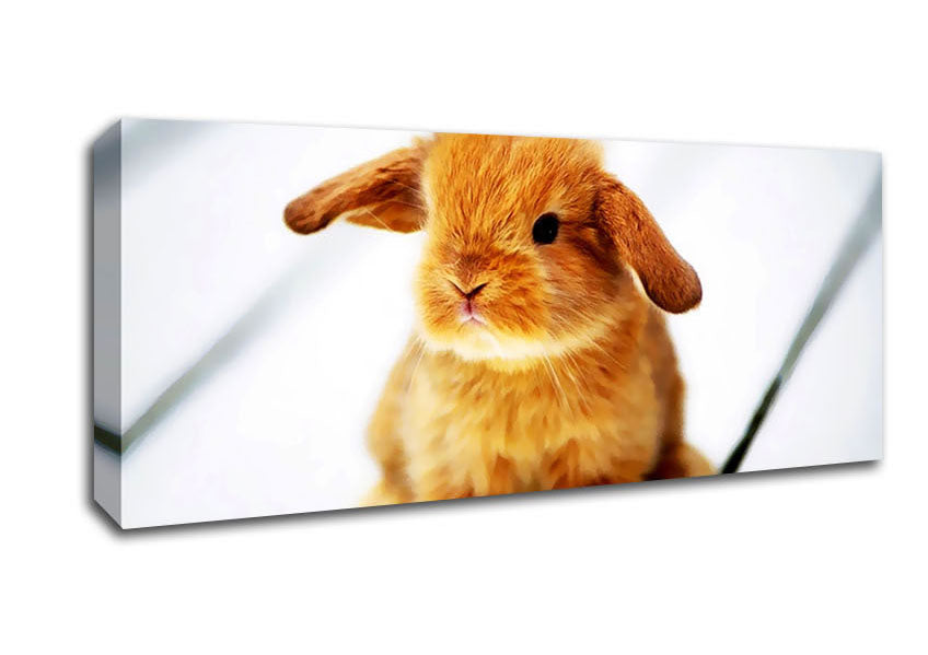 Picture of Bunny Rabbit Ears Panoramic Canvas Wall Art