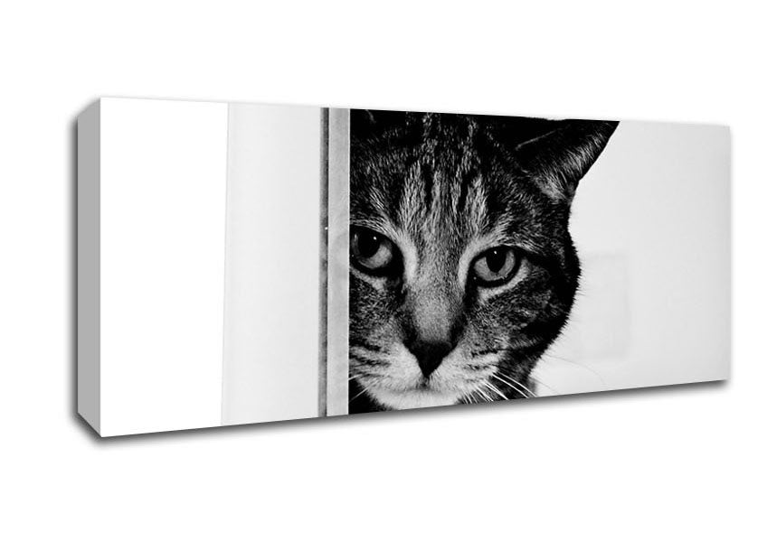 Picture of Cat Beauty Panoramic Canvas Wall Art