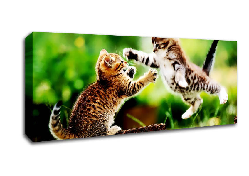 Picture of Cat Fight Panoramic Canvas Wall Art