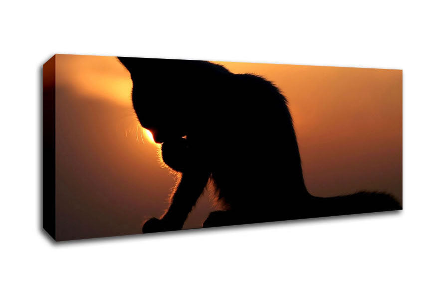 Picture of Cat In The Sunset Panoramic Canvas Wall Art