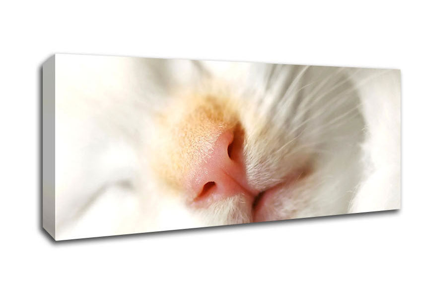 Picture of Cat Nose Panoramic Canvas Wall Art