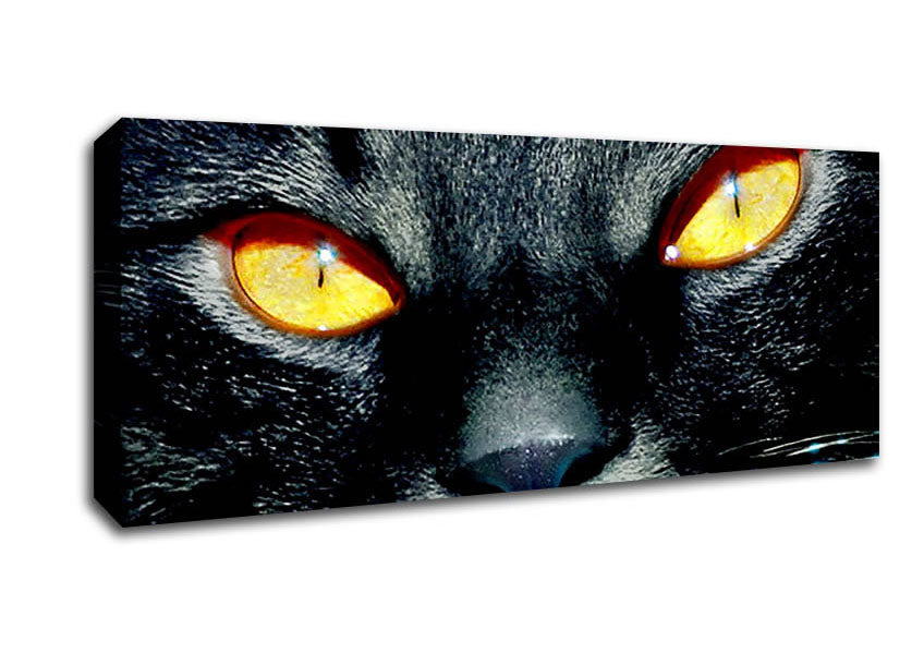 Picture of Cats Eyes Panoramic Canvas Wall Art