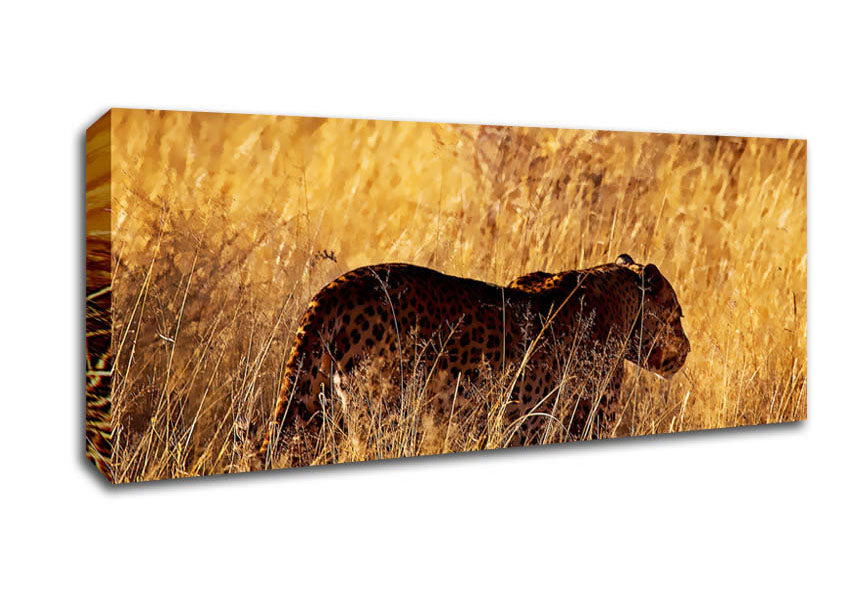 Picture of Cheetah Hunt Panoramic Canvas Wall Art