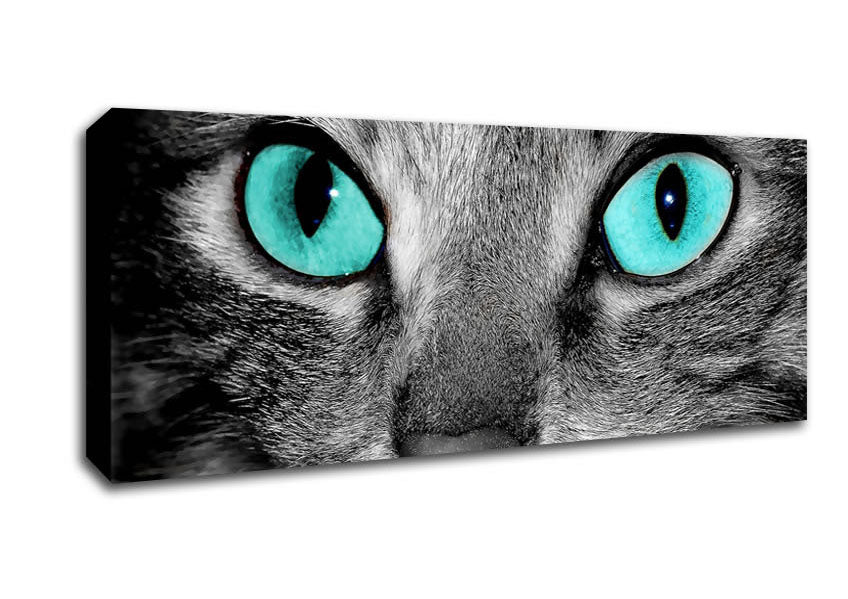 Picture of Close Up Of A Grey Tabby Cat Face Panoramic Canvas Wall Art