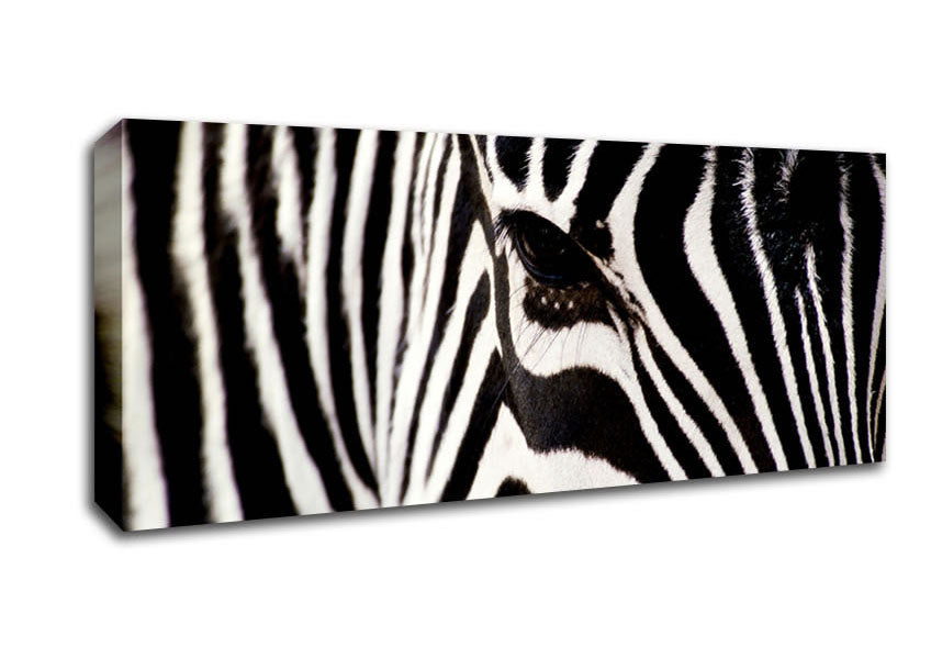 Picture of Close-up Face Zebra Panoramic Canvas Wall Art