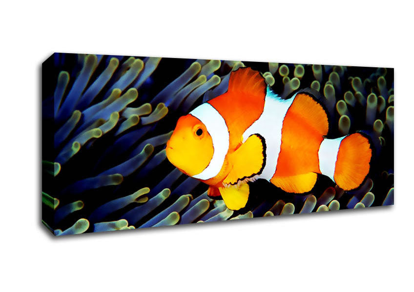 Picture of Clown Fish Panoramic Canvas Wall Art