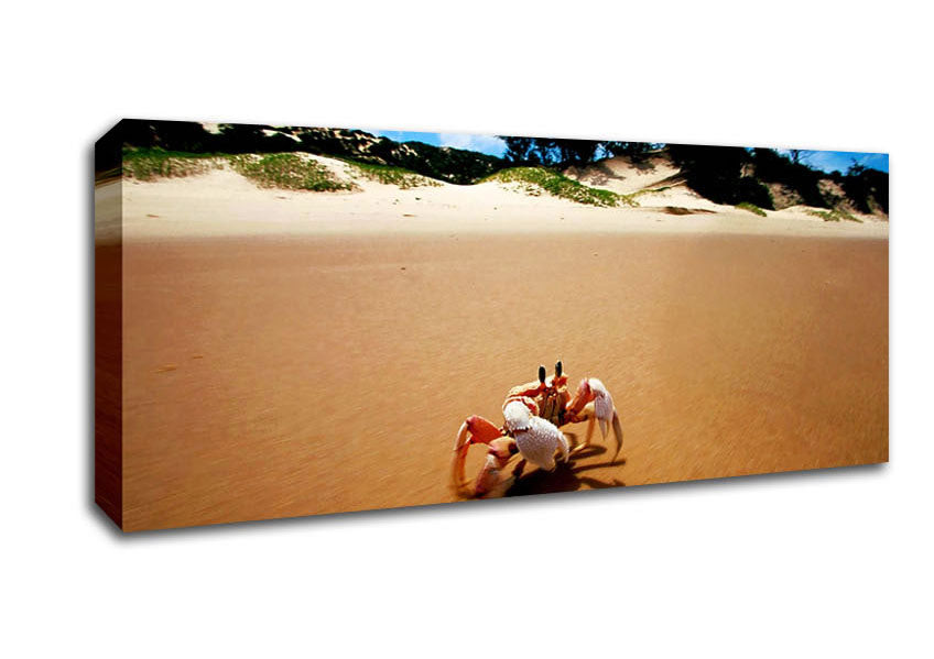 Picture of Crab Paradise Panoramic Canvas Wall Art