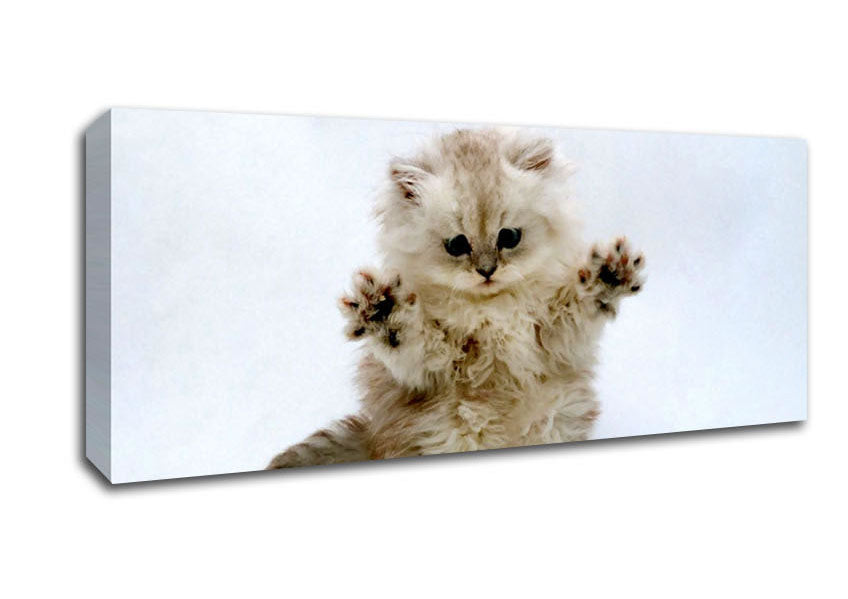 Picture of Cute Kitten Paws Panoramic Canvas Wall Art