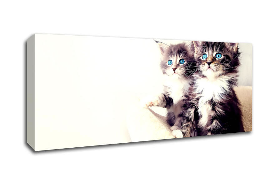 Picture of Cute Kittens Panoramic Canvas Wall Art