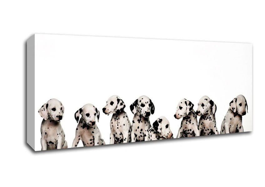 Picture of Dalmatian Puppy Fun Panoramic Canvas Wall Art