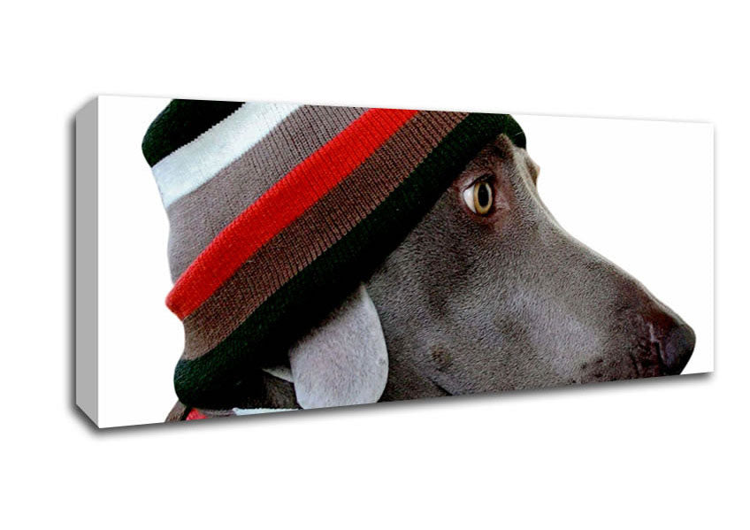 Picture of Dog Funny Hat Panoramic Canvas Wall Art