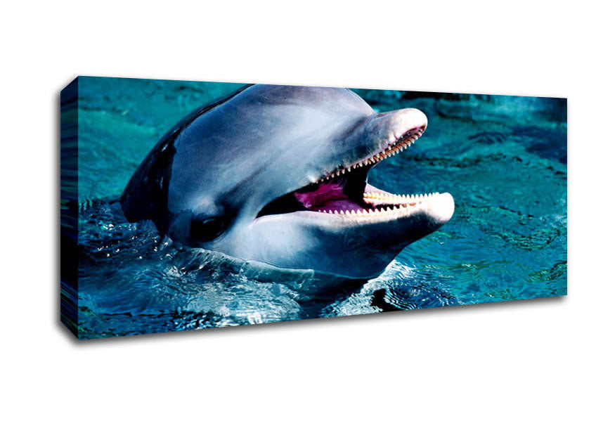 Picture of Dolphins Call Panoramic Canvas Wall Art