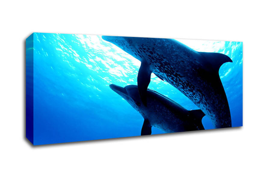 Picture of Dolphins Under The Sea Panoramic Canvas Wall Art