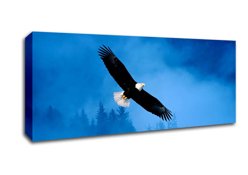 Picture of Eagle Flight Panoramic Canvas Wall Art