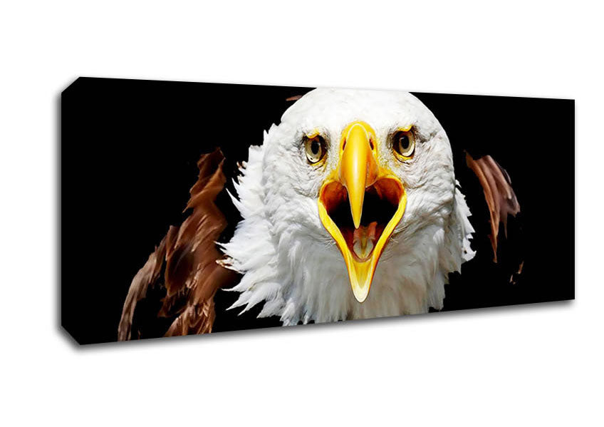 Picture of Eagle Talk Panoramic Canvas Wall Art