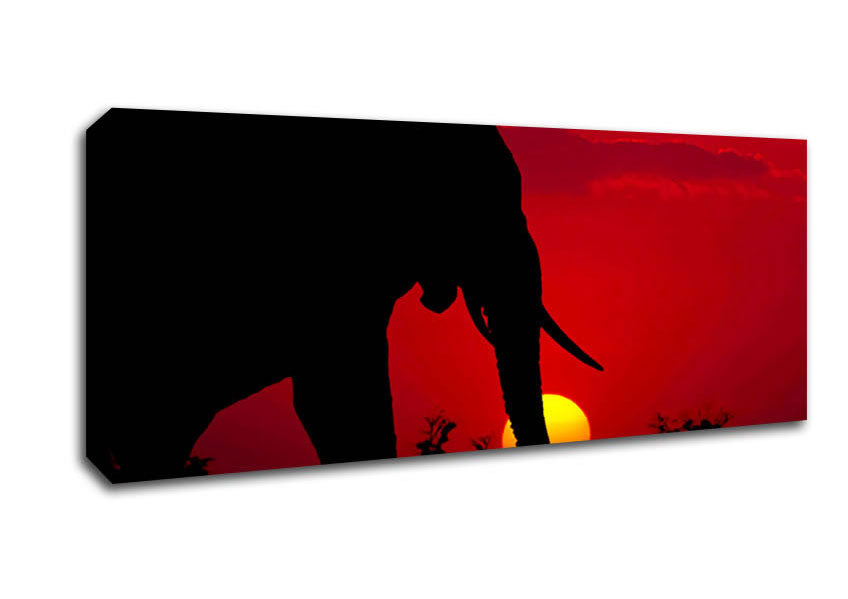 Picture of Elephant At Sundown Panoramic Canvas Wall Art