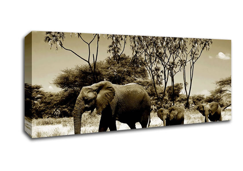 Picture of Elephant Family Panoramic Canvas Wall Art