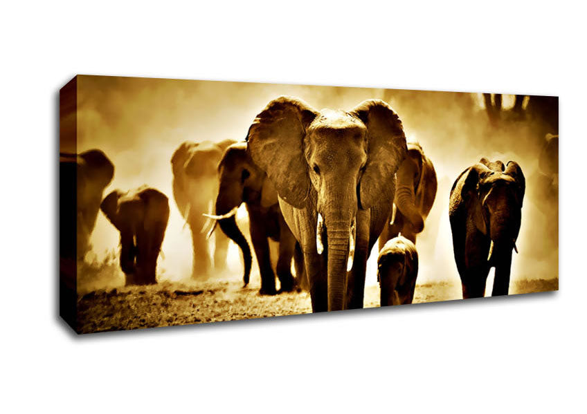 Picture of Elephant Stampede Panoramic Canvas Wall Art