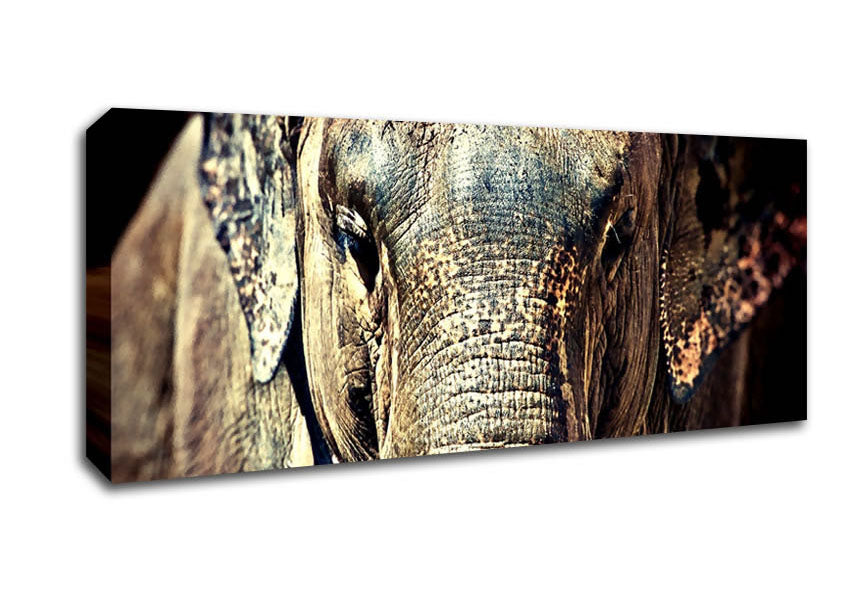 Picture of Elephant Trunk Panoramic Canvas Wall Art