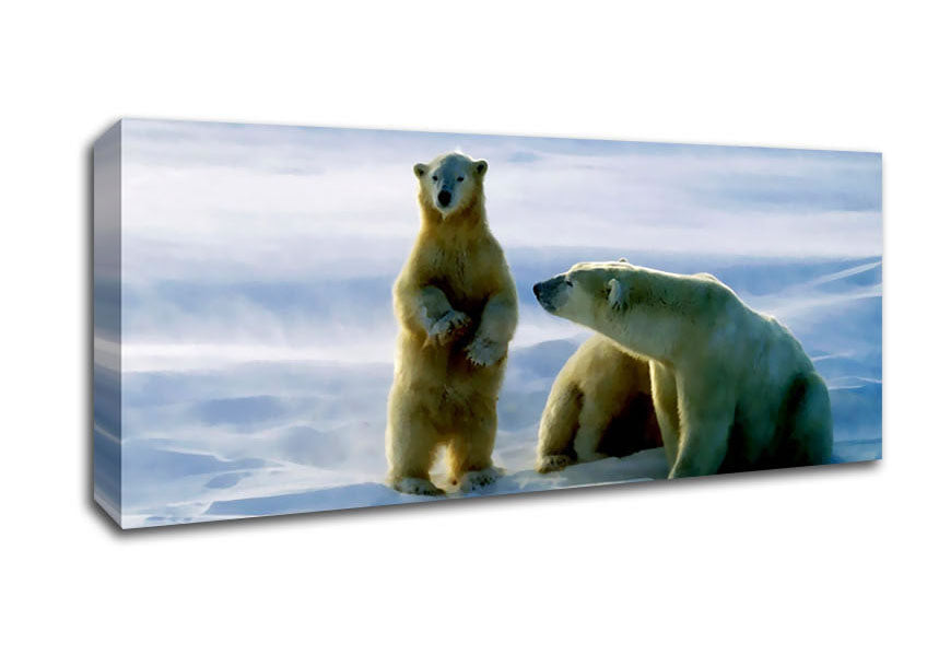 Picture of Family Of Polar Bears Panoramic Canvas Wall Art