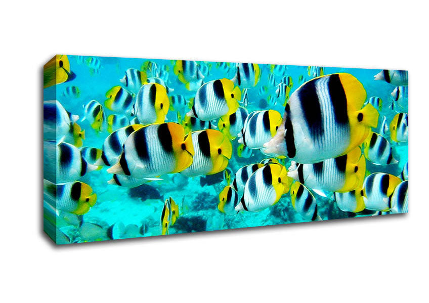 Picture of Fish Fury Panoramic Canvas Wall Art