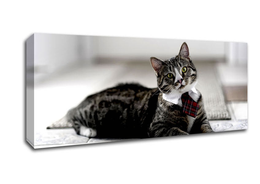 Picture of Funny Cat Wears Tie Panoramic Canvas Wall Art