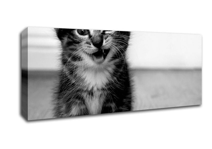 Picture of Funny Kitten Panoramic Canvas Wall Art