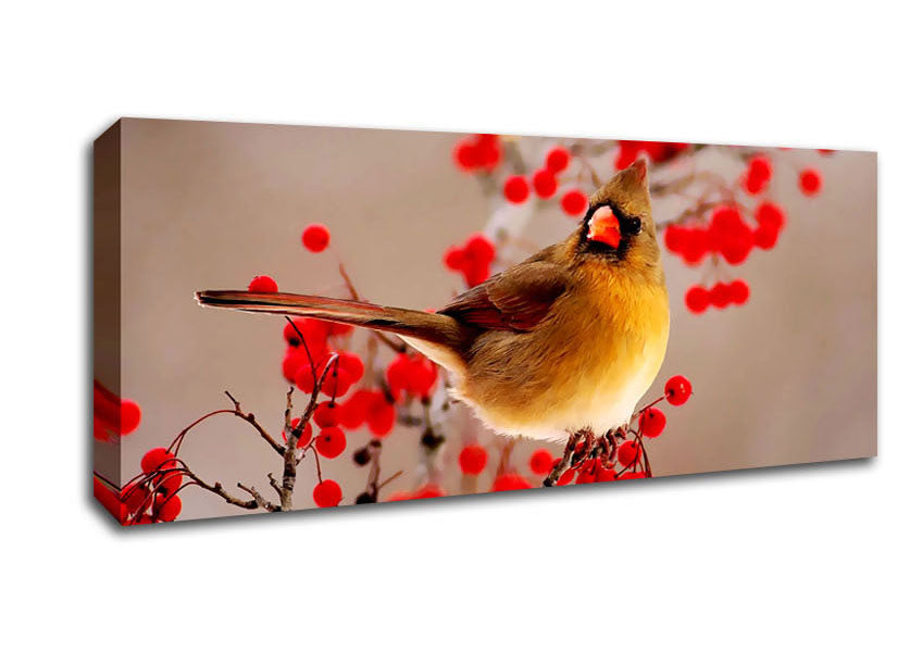 Picture of Garden Bird Panoramic Canvas Wall Art