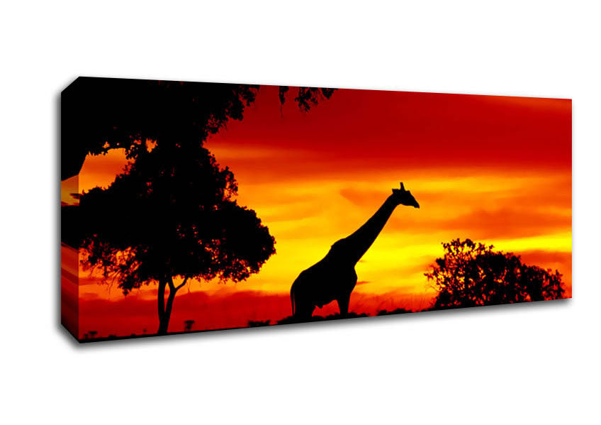 Picture of Giraffe At Dawn Panoramic Canvas Wall Art