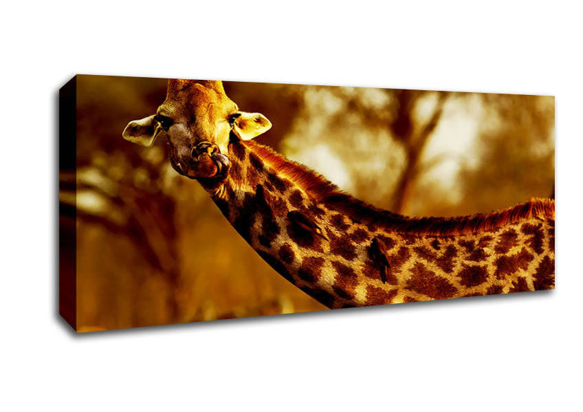 Picture of Giraffe Neck For Birds Panoramic Canvas Wall Art