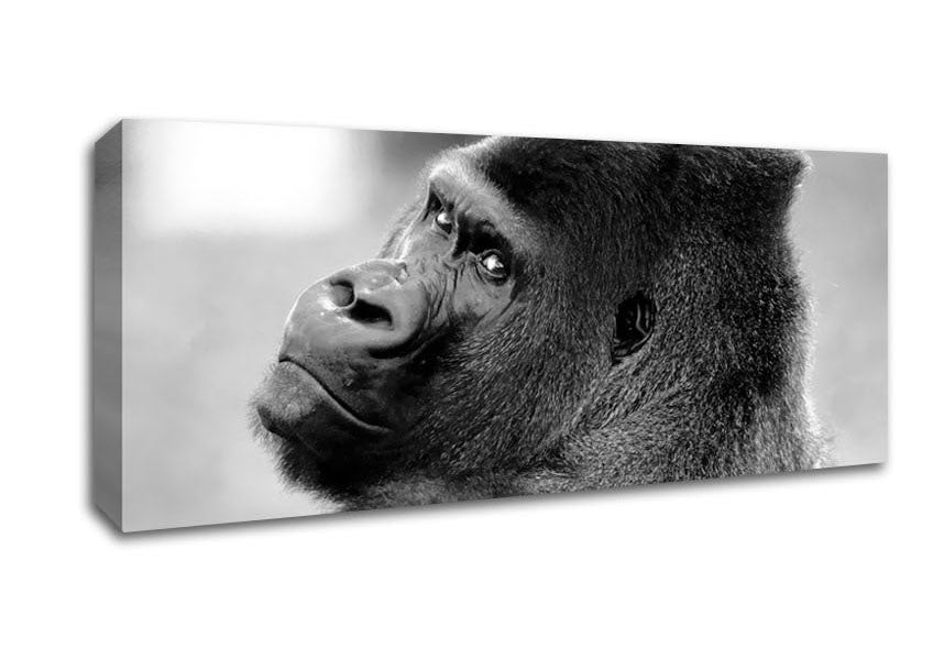 Picture of Gorilla Face Panoramic Canvas Wall Art