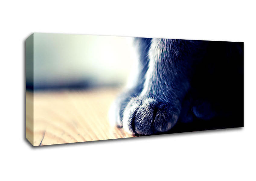 Picture of Grey Paws Panoramic Canvas Wall Art