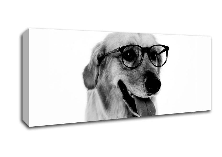 Picture of Have You Seen My Glasses B n W Panoramic Canvas Wall Art