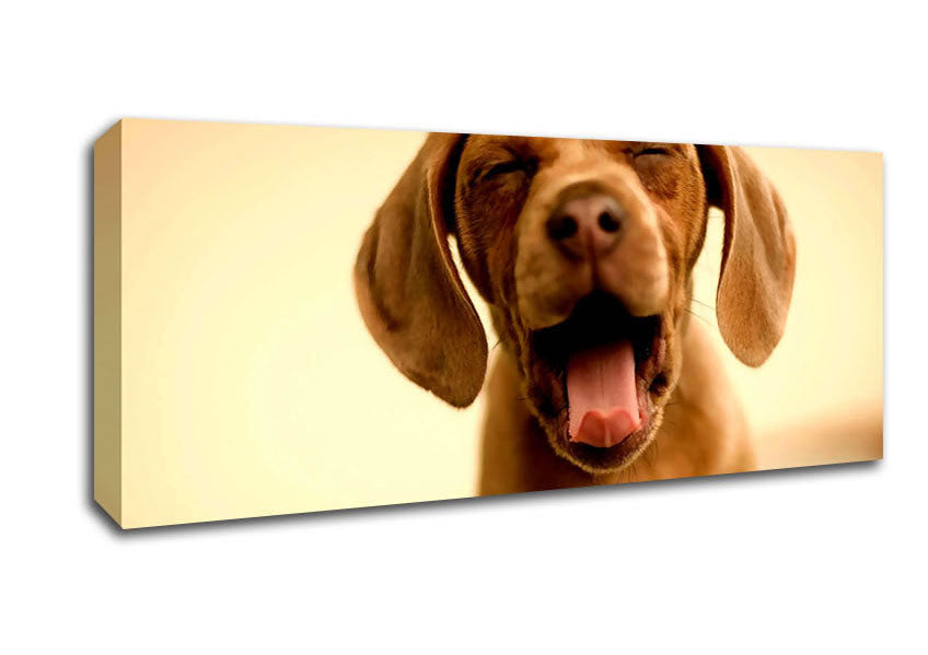 Picture of Funny Dog Panoramic Canvas Wall Art