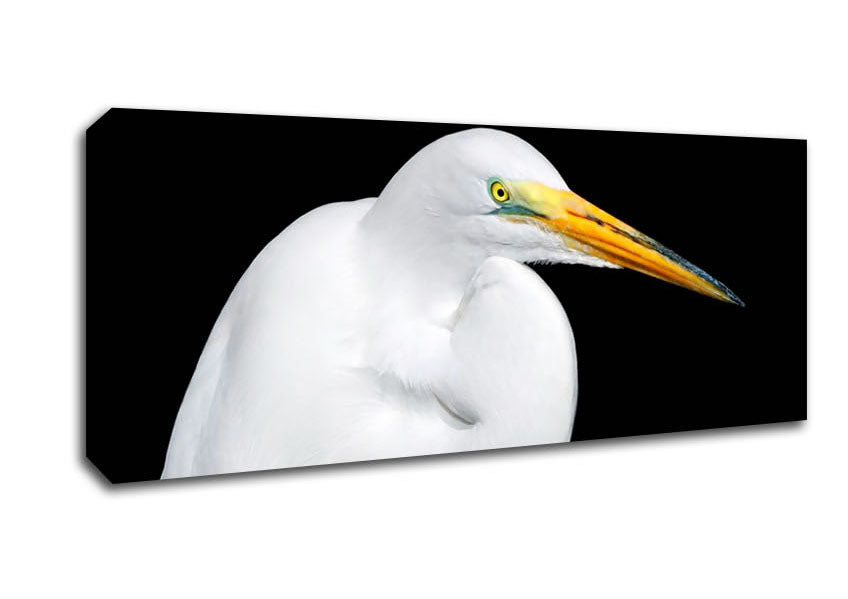 Picture of Herons Reach Panoramic Canvas Wall Art