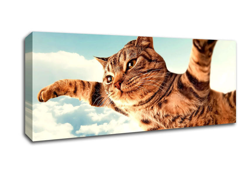 Picture of I Believe I Can Fly Cat Panoramic Canvas Wall Art