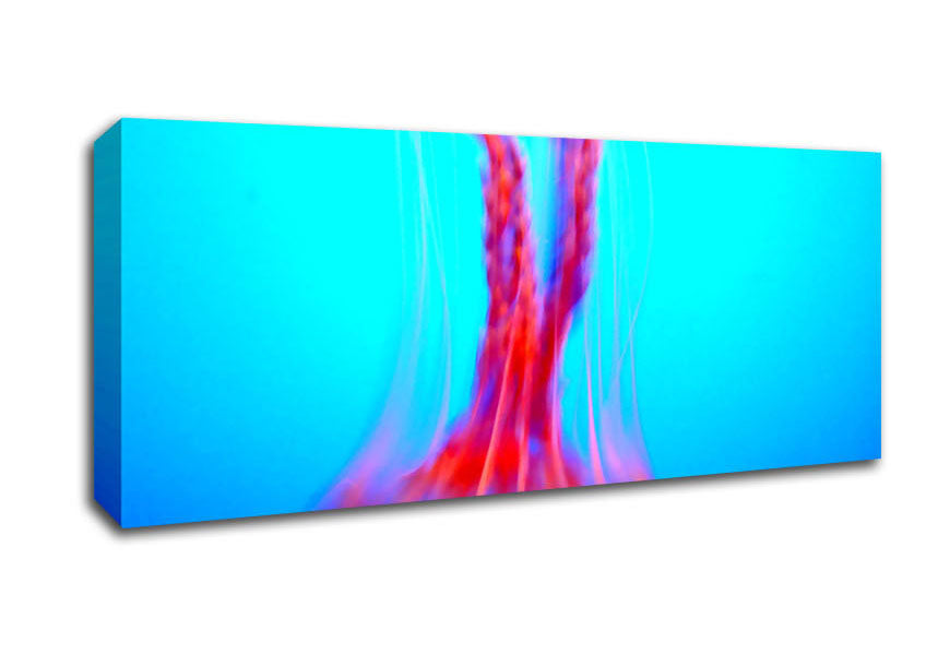 Picture of Jellyfish Movement Panoramic Canvas Wall Art