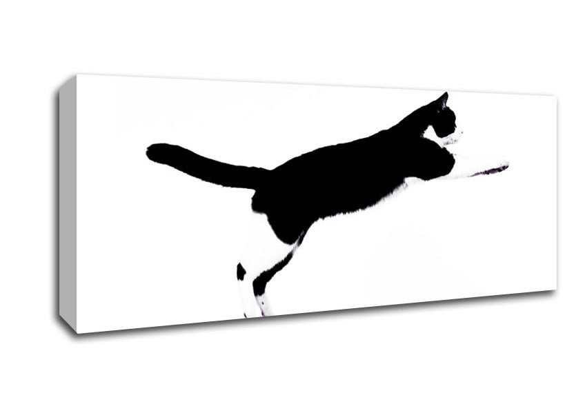 Picture of Jumping Cat Panoramic Canvas Wall Art