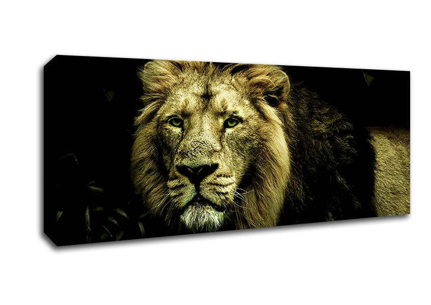 Picture of King Of The Jungle Stare Panoramic Canvas Wall Art