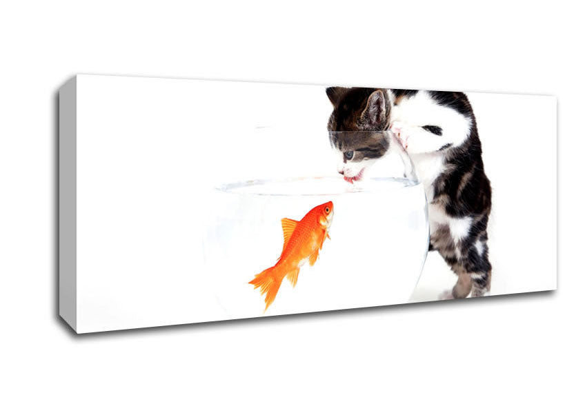 Picture of Kitten VS Fish Panoramic Canvas Wall Art