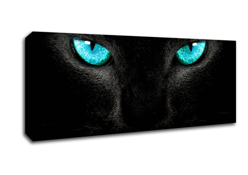 Picture of Blue Eyes Cat Panoramic Canvas Wall Art