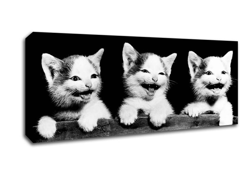 Picture of Laughing Kittens Panoramic Canvas Wall Art